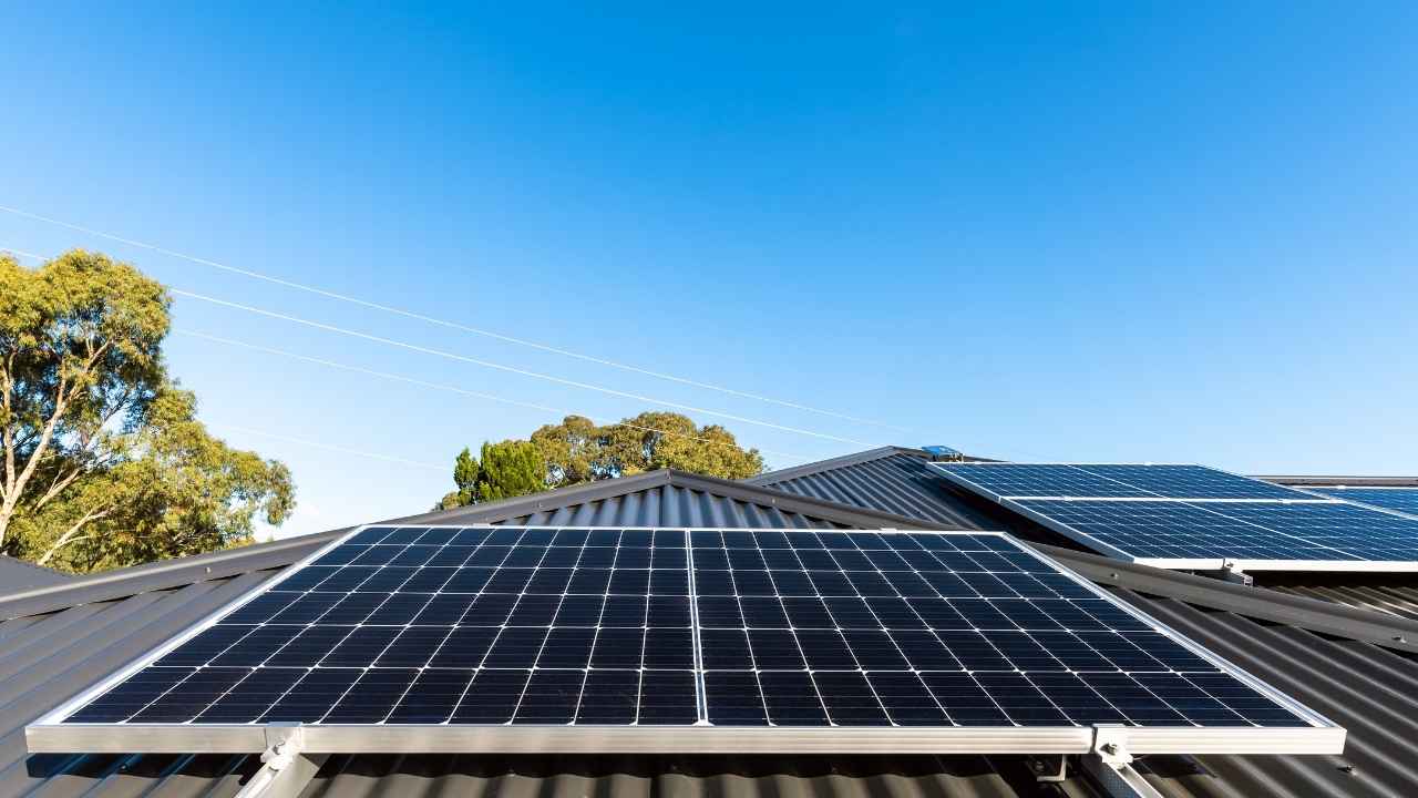 Untitled design - 2025-05-21T143406.041