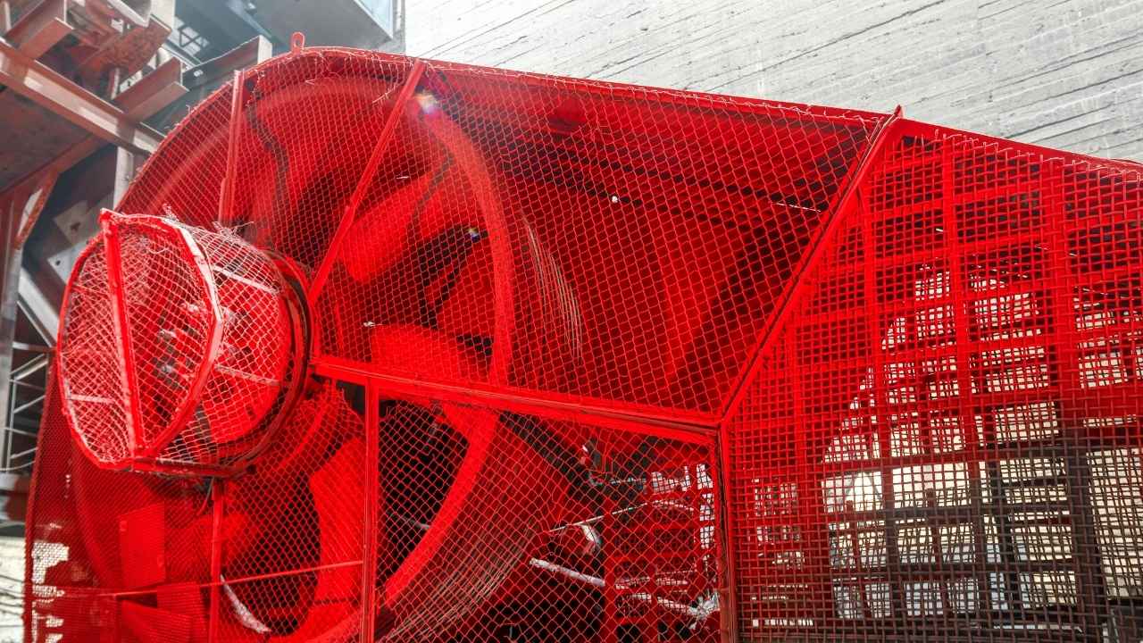 Untitled design - 2025-05-21T144610.349